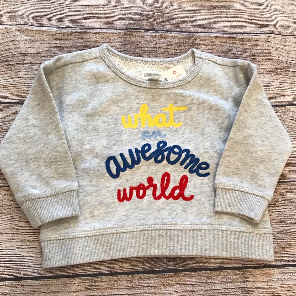 Gymboree 6-12M 3T Girls Gray Sweatshirt Light